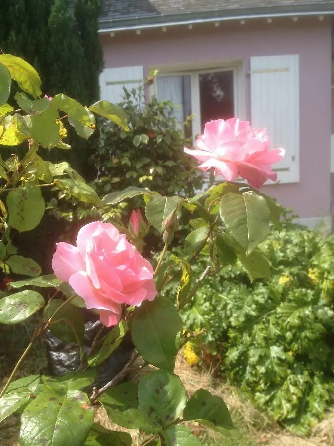 Bed and Breakfast Hon-Ty Groix Bed & Breakfast